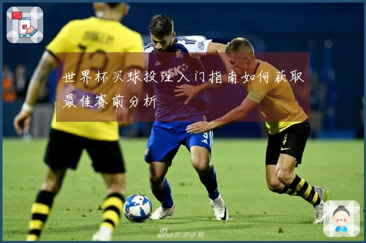 世界杯买球投注入门指南如何获取最佳赛前分析