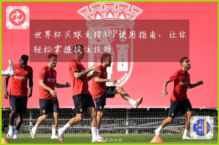 世界杯买球竞猜APP使用指南，让你轻松掌握投注技巧