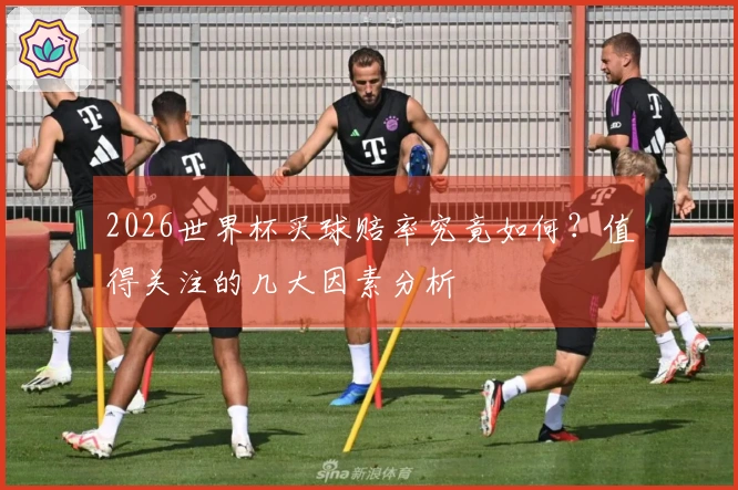 2026世界杯买球赔率究竟如何？值得关注的几大因素分析