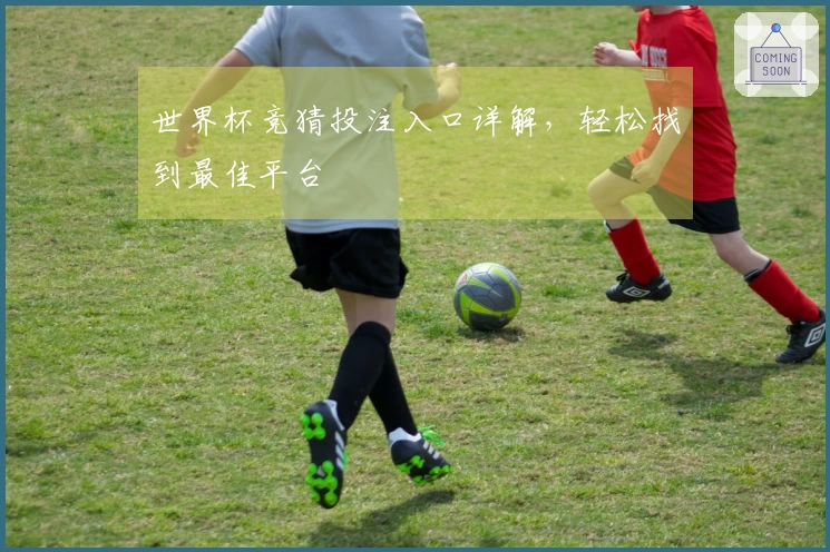 世界杯竞猜投注入口详解，轻松找到最佳平台