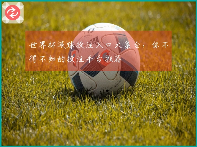 世界杯滚球投注入口大集合，你不得不知的投注平台推荐
