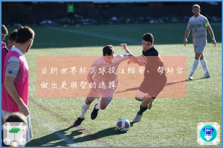 分析世界杯买球投注赔率，帮助你做出更明智的选择